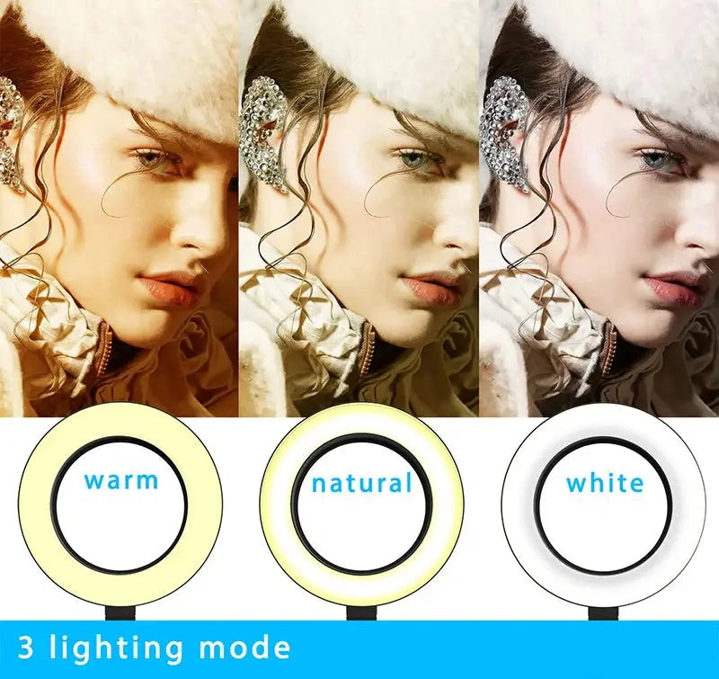 Collage of a woman wearing a fur hat with three lighting mode options below.