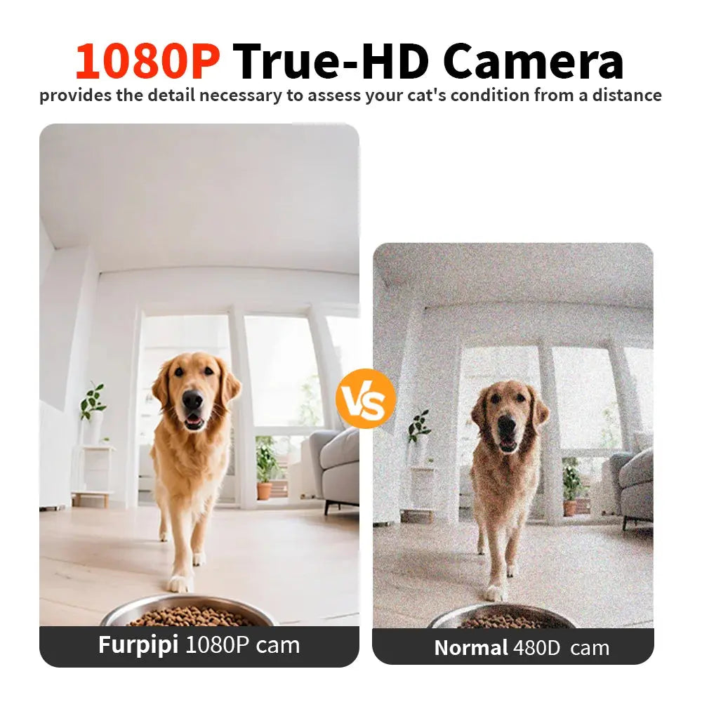 Comparison of Furpipi 1080P camera and normal 480D camera showing a dog in a room.